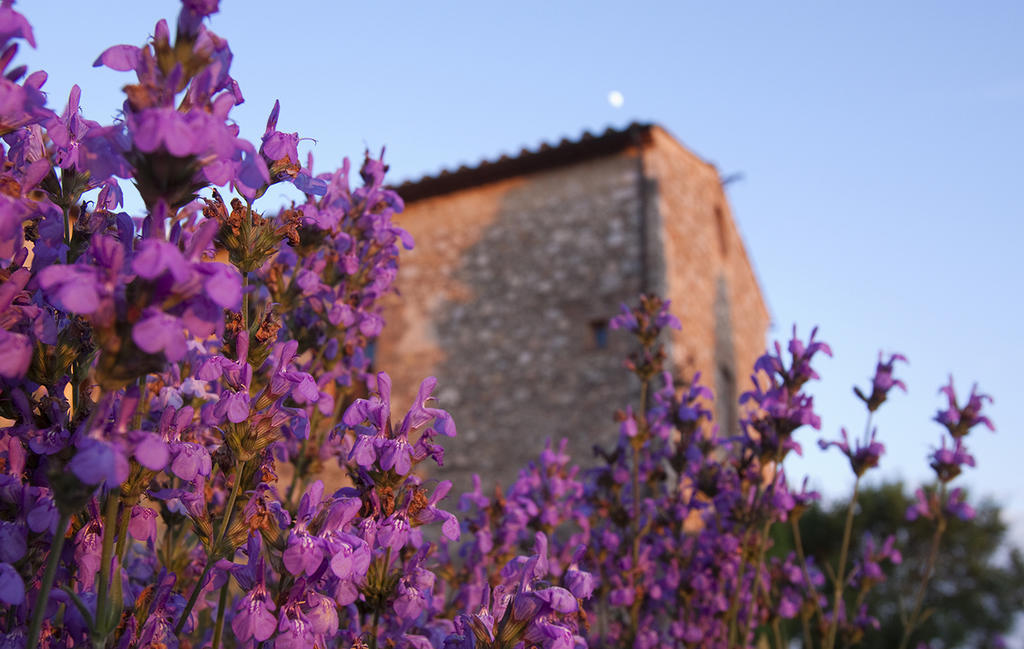 Montecastello